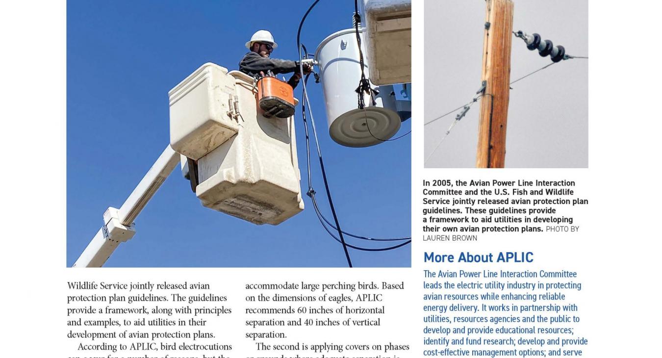 May Ruralite Dallon Higgins Apprentice Lineman Harney Electric